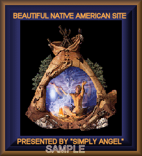 Beautiful Native American Site Award